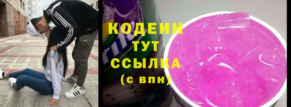 прущие грибы Аркадак