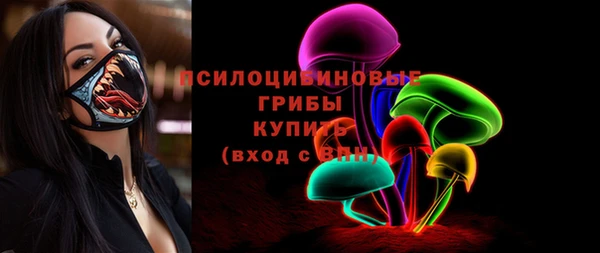 прущие грибы Аркадак