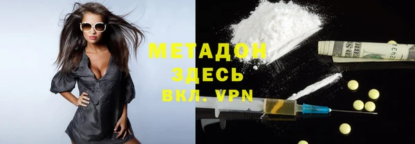 прущие грибы Аркадак