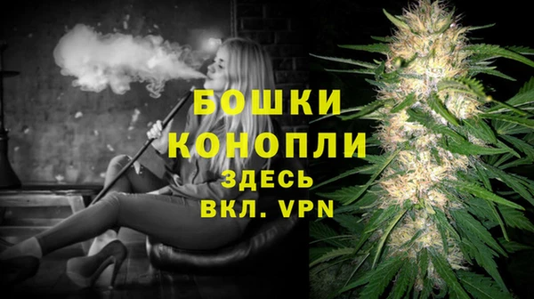 гашик Пересвет