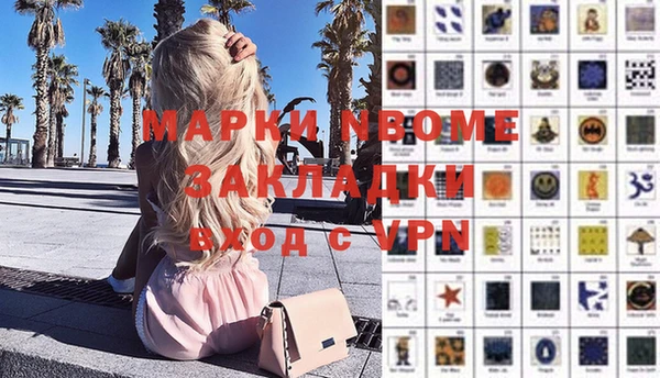 прущие грибы Аркадак