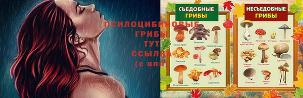 МДМА Арсеньев